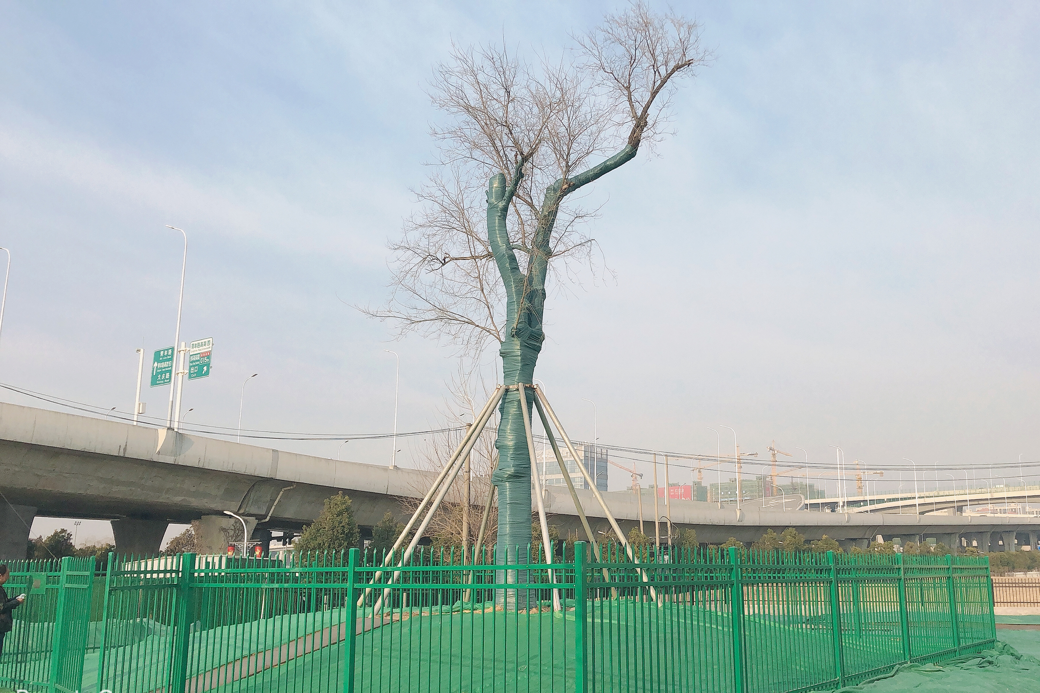 古樹(shù)名木掛上“戶(hù)籍”封面.jpg