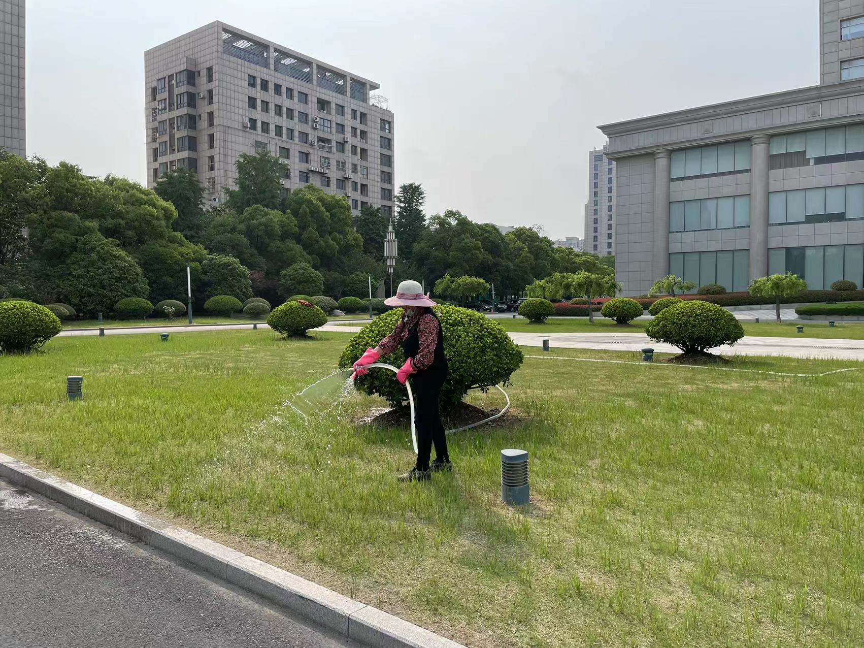 鹽城市交通運輸局大院綠化養護工程