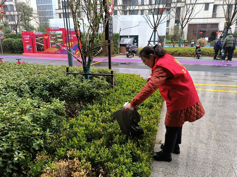 綠陽(yáng)照片IMG_8233.JPG