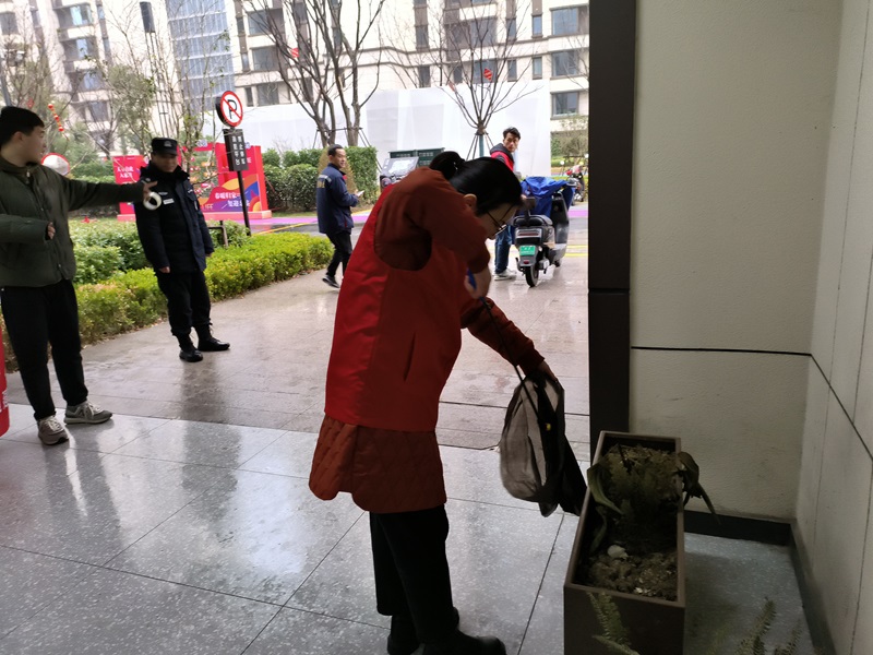 綠陽(yáng)照片IMG_8235.JPG